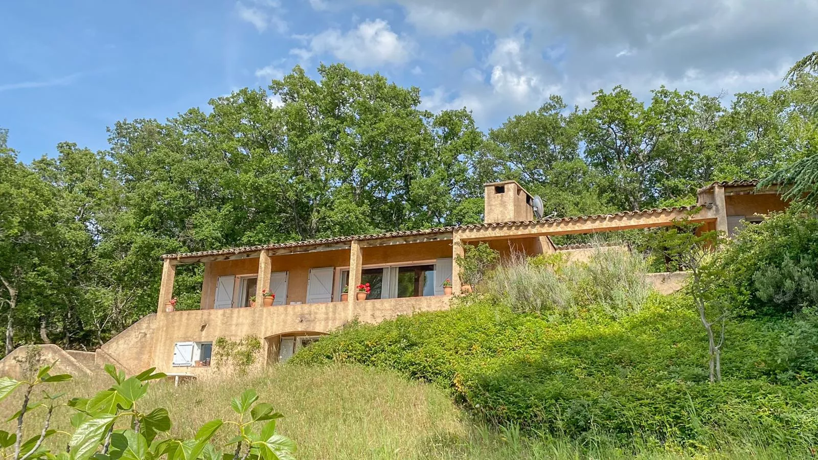La porteuse deau-Exterior summer