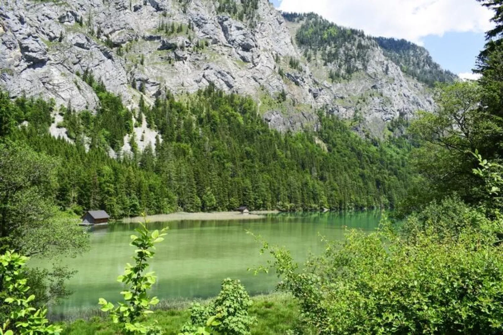 Ferienhütte Trabochersee-Aussicht Sommer