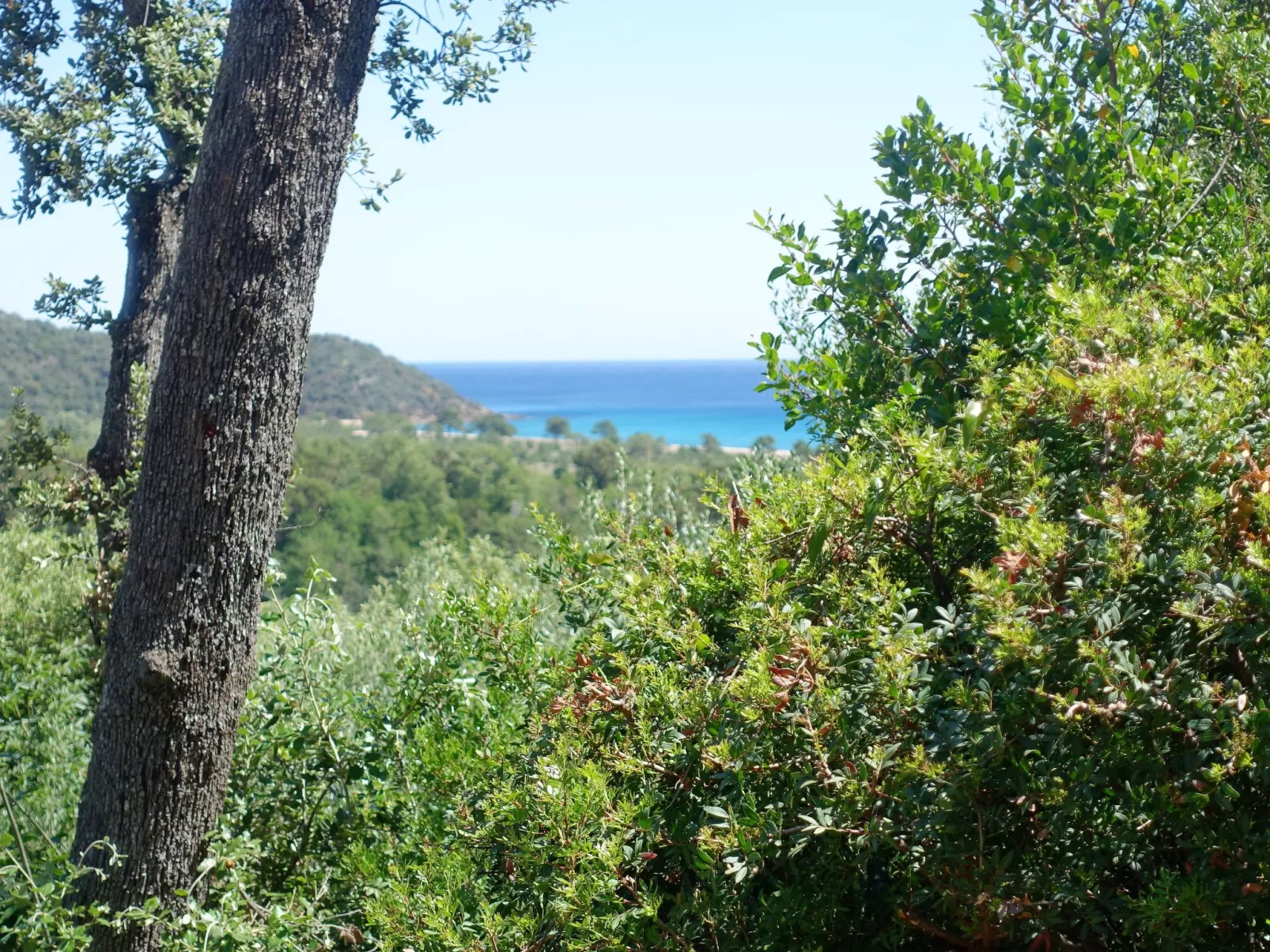 Fium del Cavu-Dehors