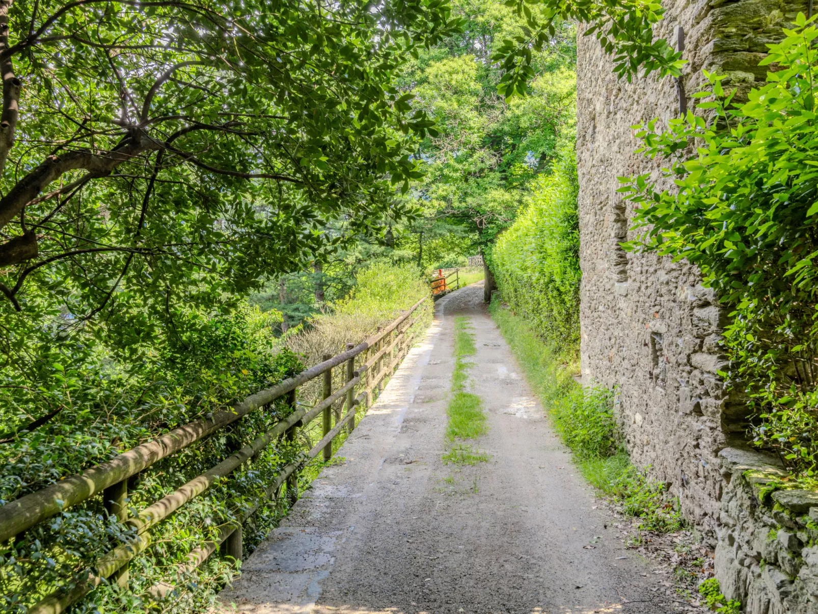 Panorama Viandante-Dehors