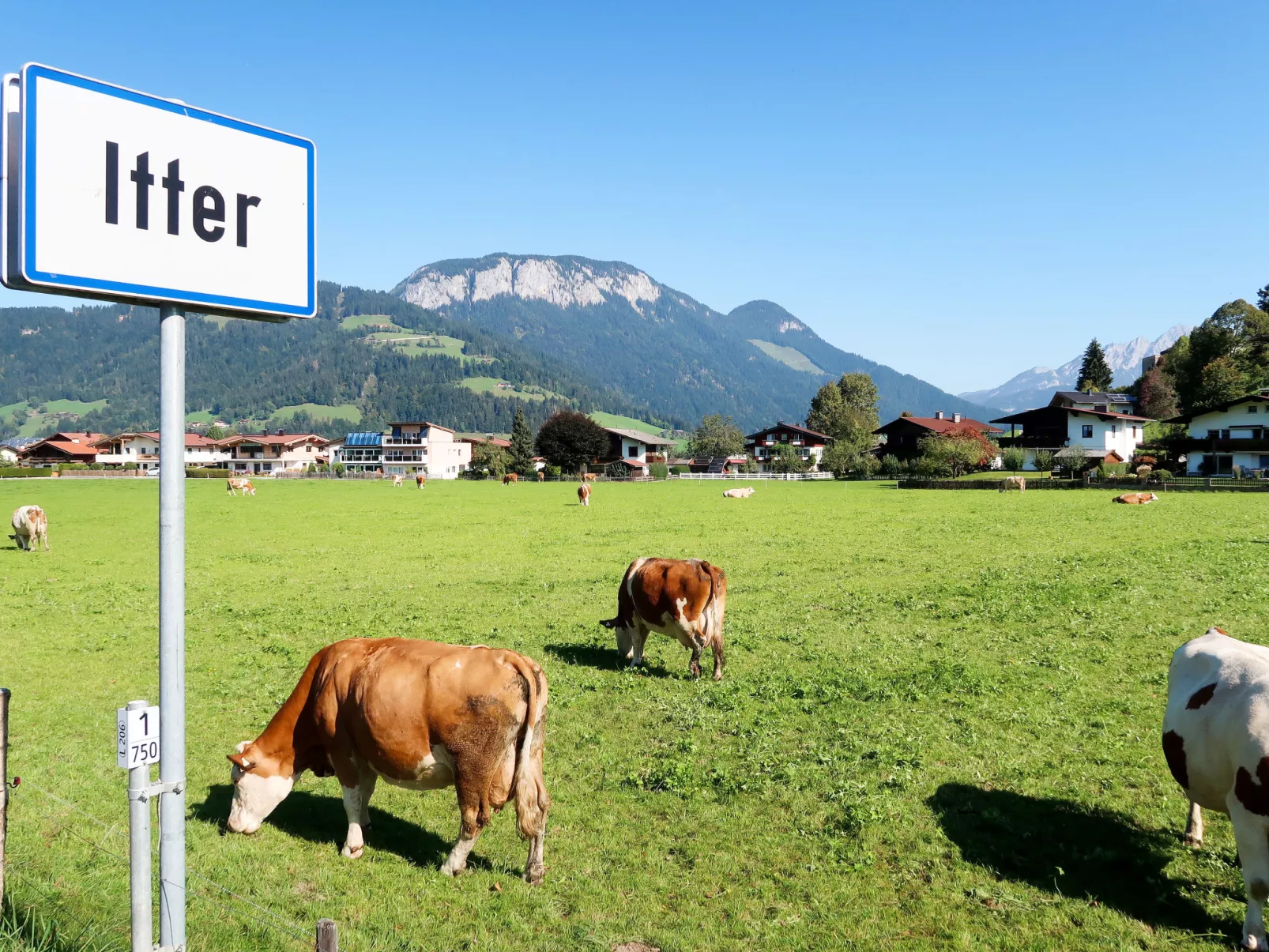 Zur schönen Aussicht-Umgebung