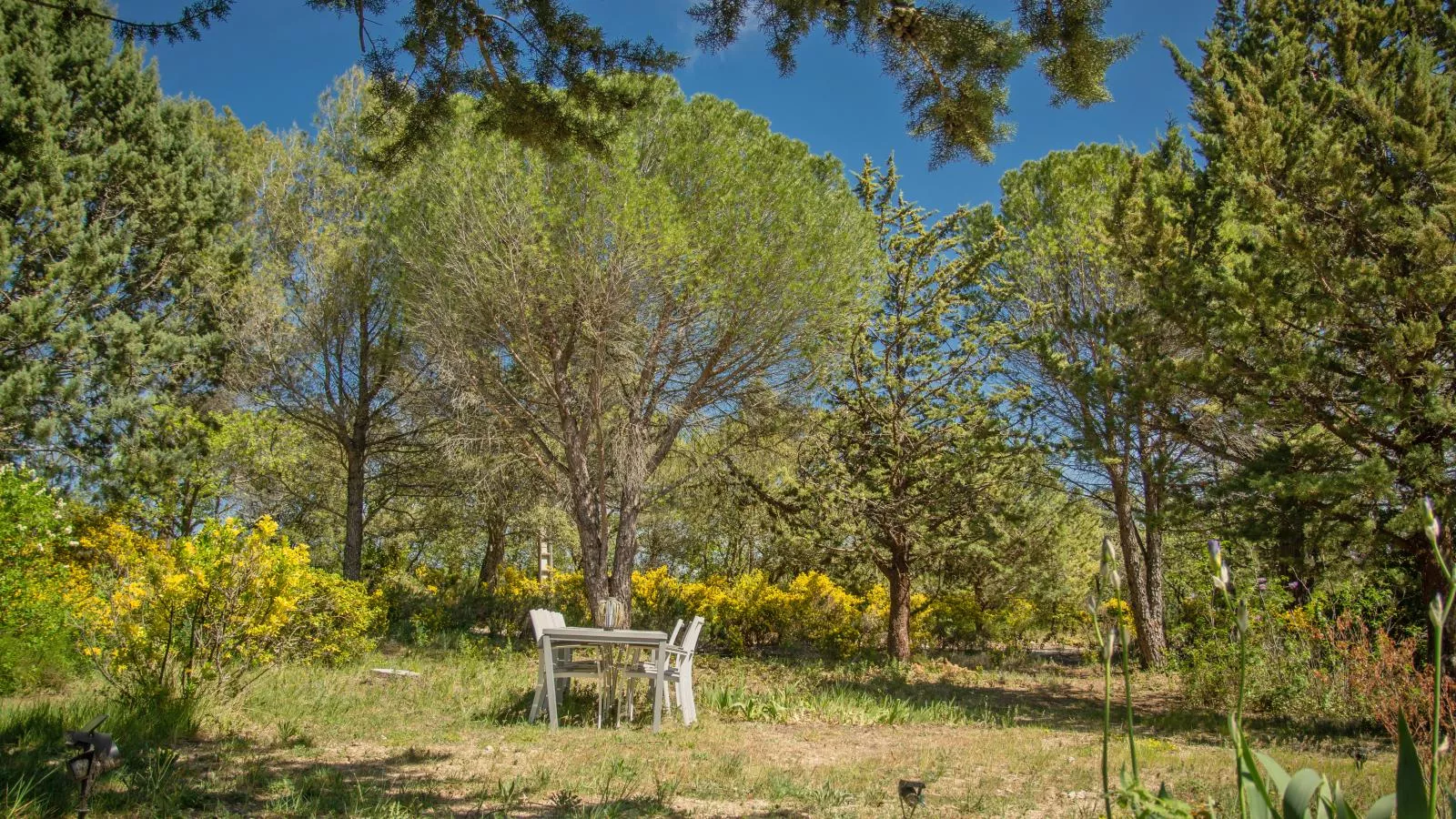 Villa Cantirane-Gardens summer