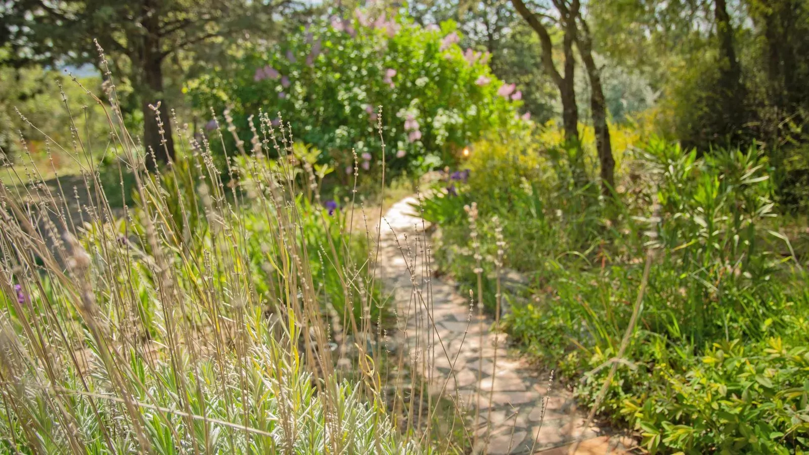 Villa Cantirane-Gardens summer