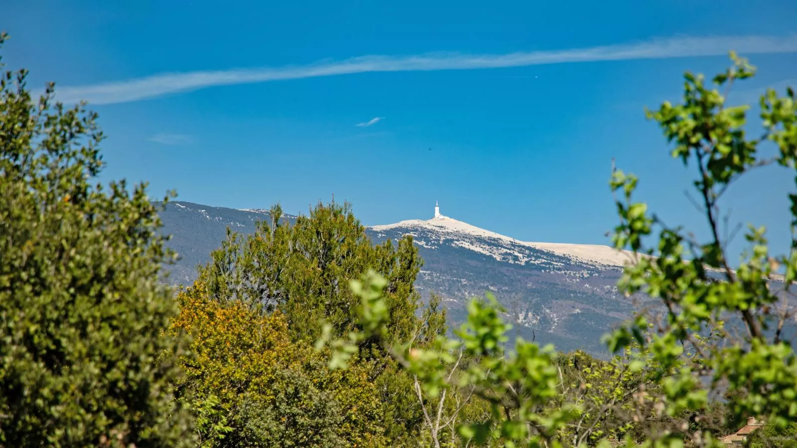 Villa Cantirane-View summer