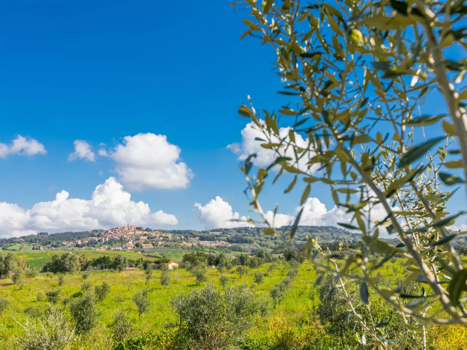 Le Rocche-Area