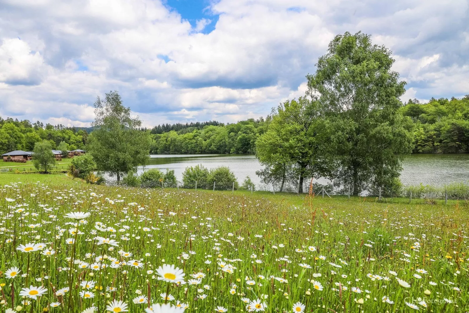 Le Domaine des Monédières-Gebiete Sommer 1 km