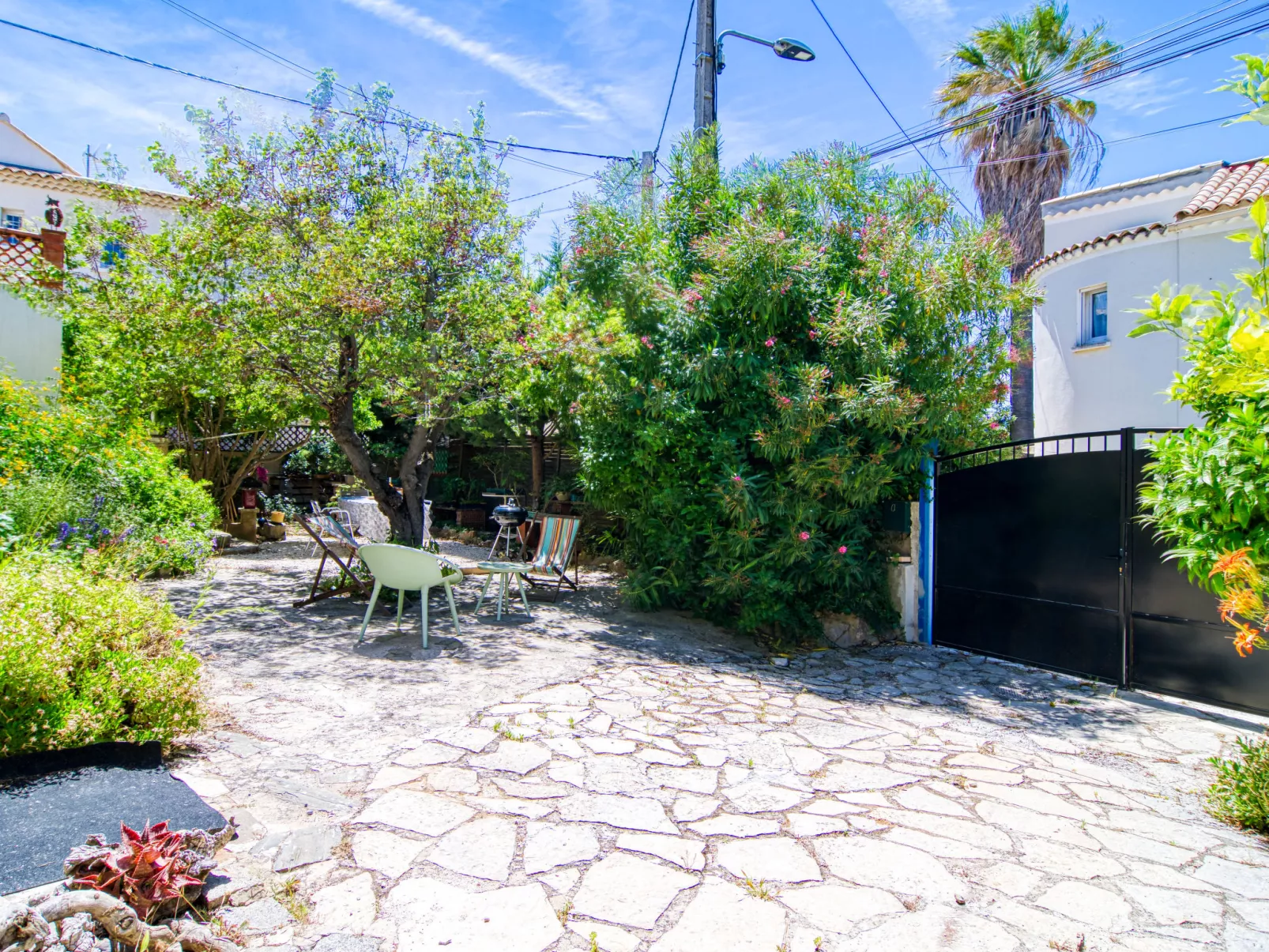 Mimosa-Outside