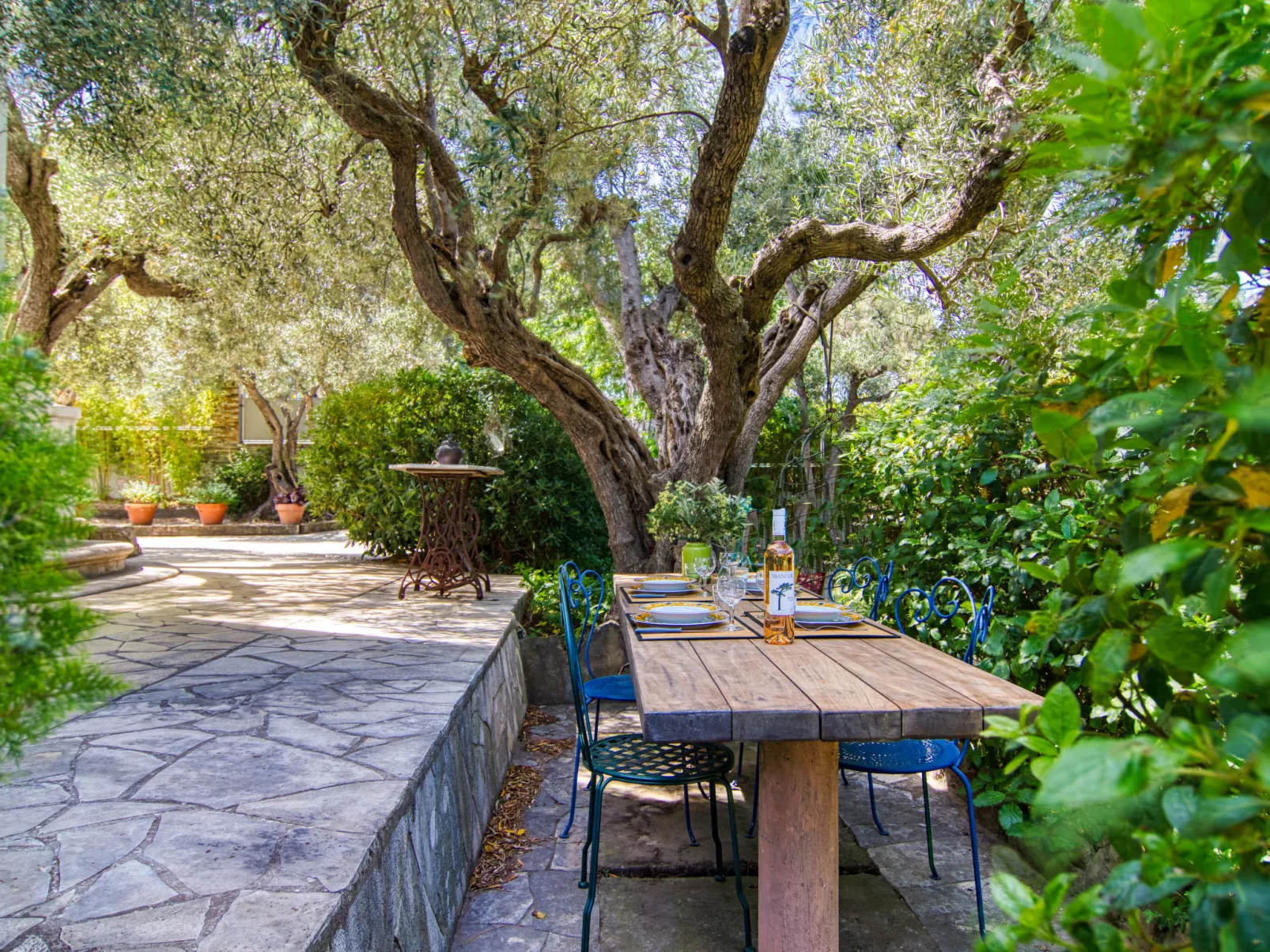 Liska Blu-Outside