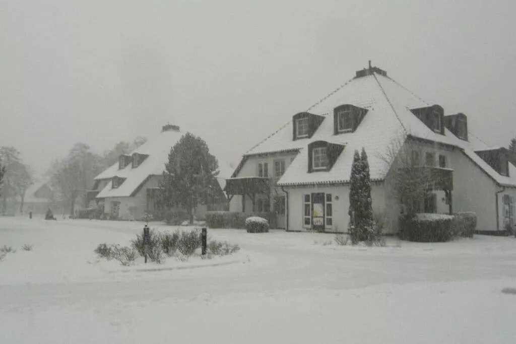 433468-Exterior winter