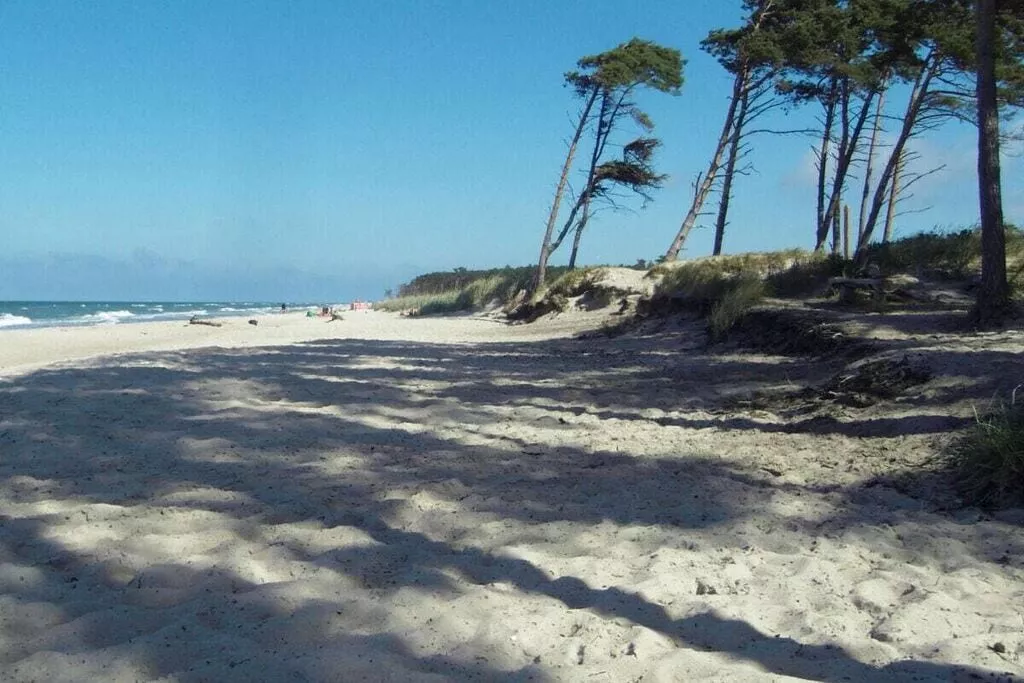 433468-Areas summer 5km