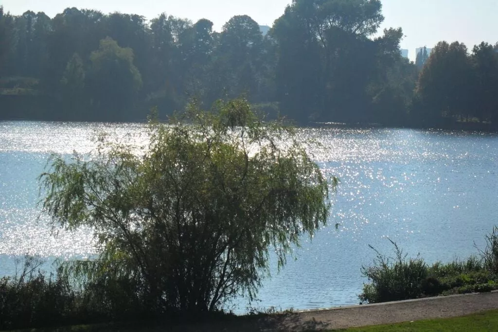 17143-Areas summer 5km