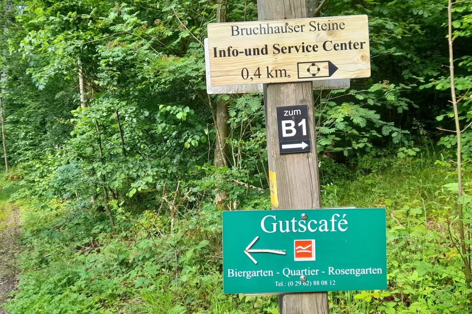 Ferienwohnung am Wald-Areas summer 5km