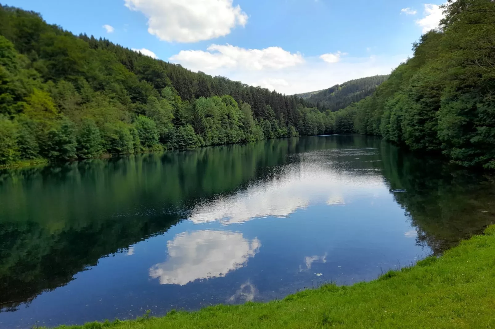 Ferienwohnung am Wald-Areas summer 5km