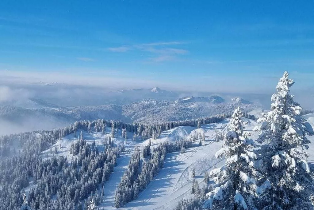 411448-Area winter 5km