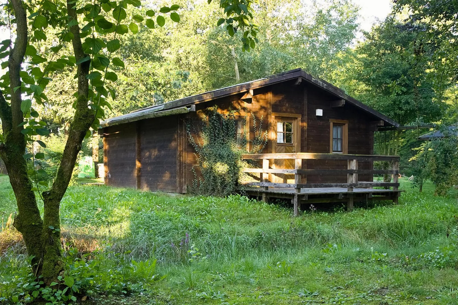Typ C Haus 363 364 361 362-Exterior summer