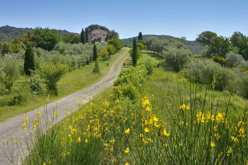 250622-Zones d'été à 5 km
