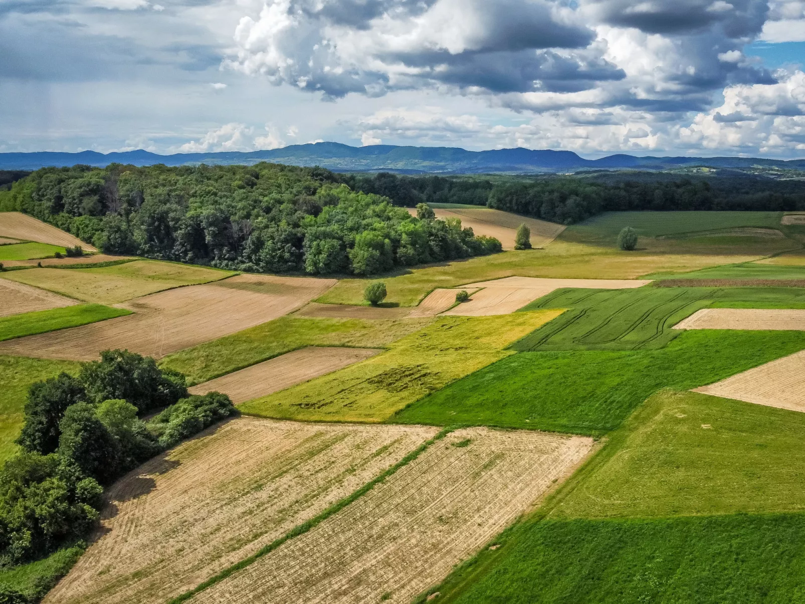 Countryside estate-Dehors