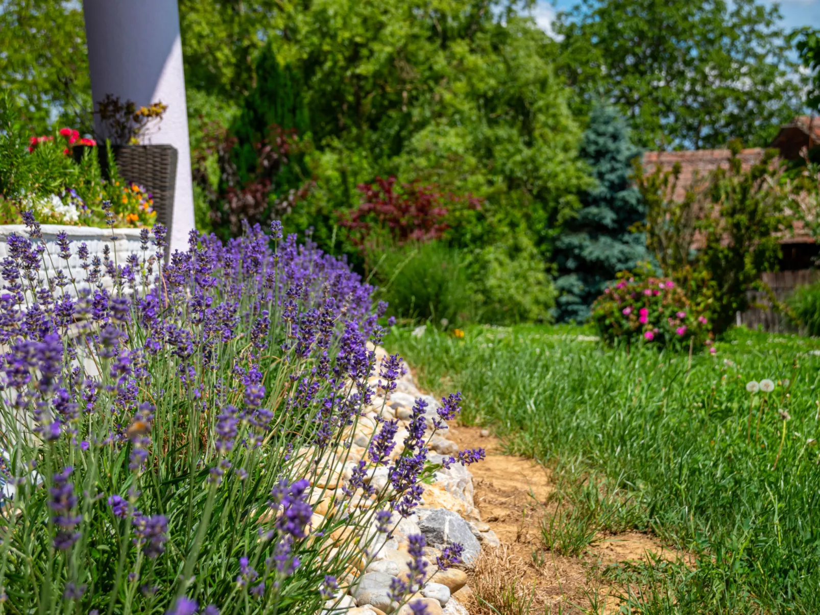 Countryside estate-Dehors