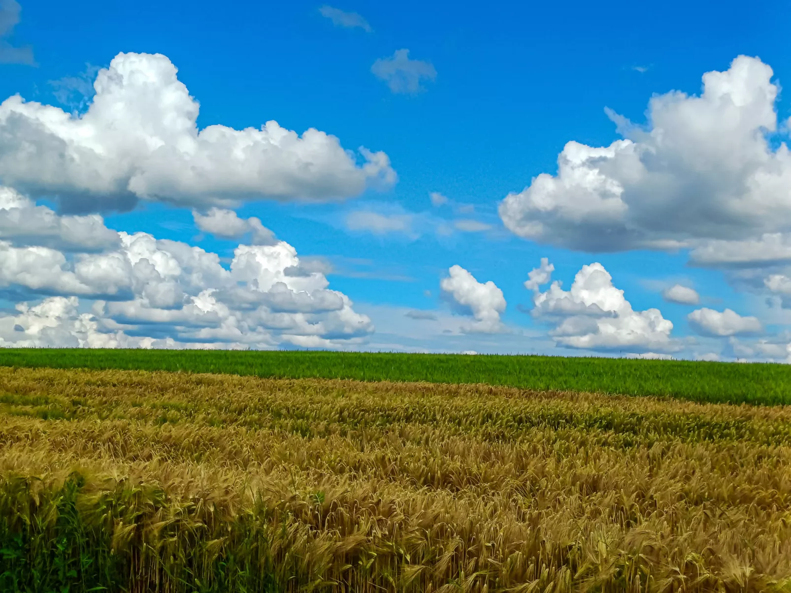 Countryside estate-Dehors