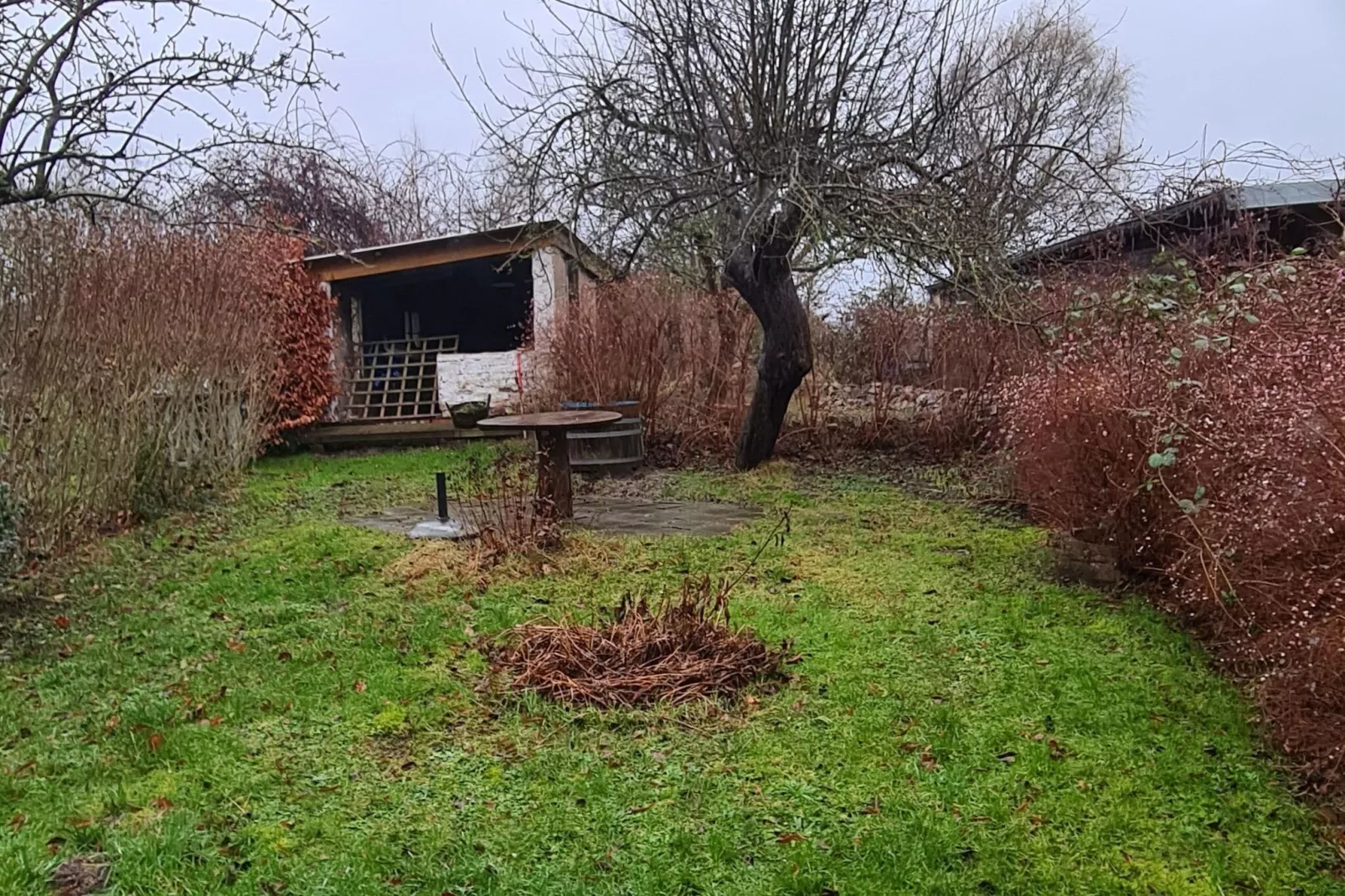 Schoene Wohnung im reetgedachten Bauernhaus-Gärten Sommer
