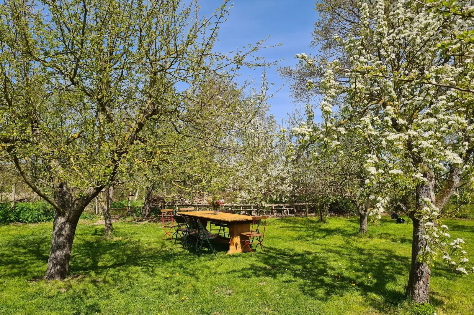 Schöne Wohnung im reetgedachten Bauernhaus-Jardin d'été