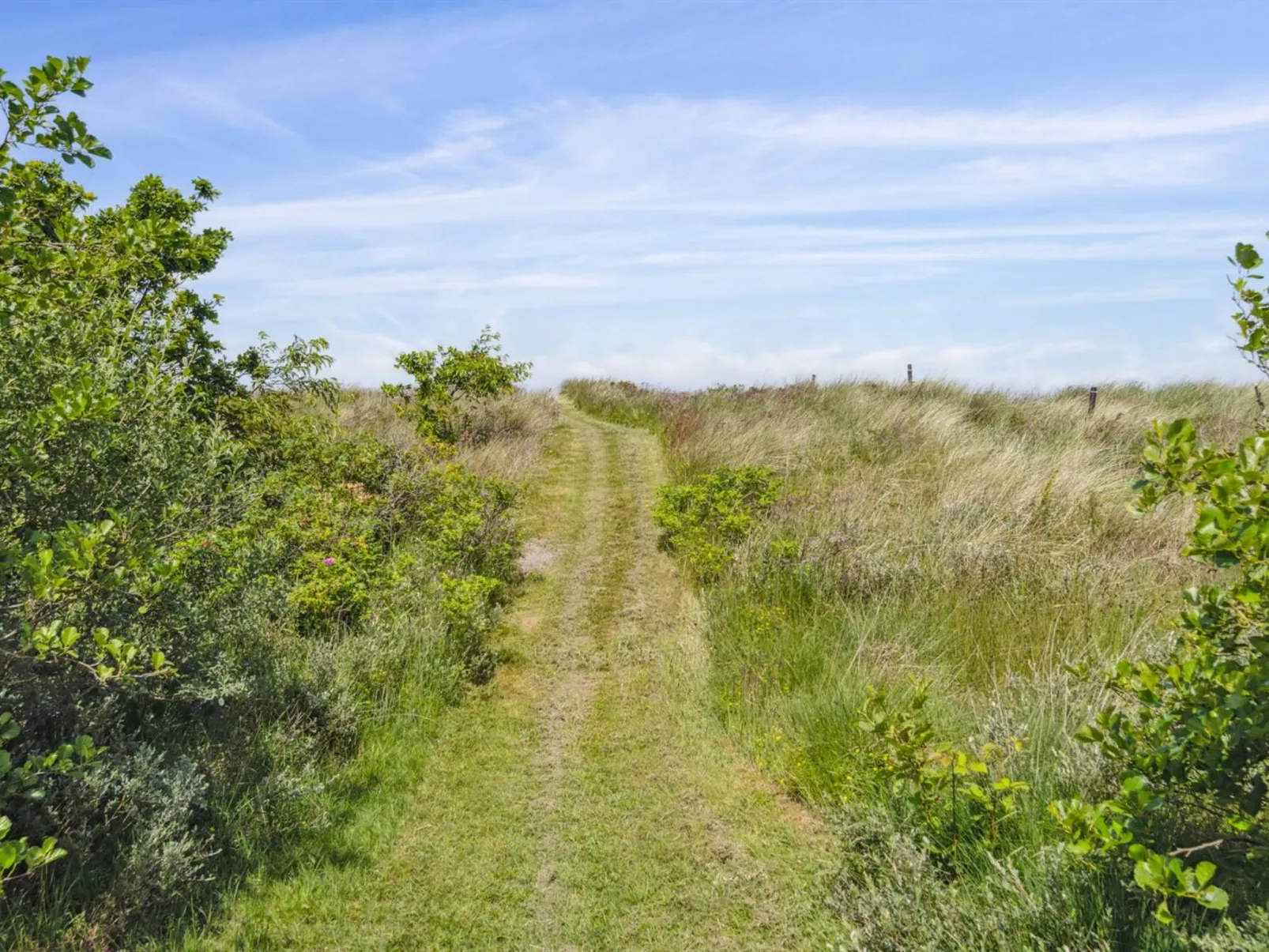 "Hunlef" - 1.7km from the sea-Draußen