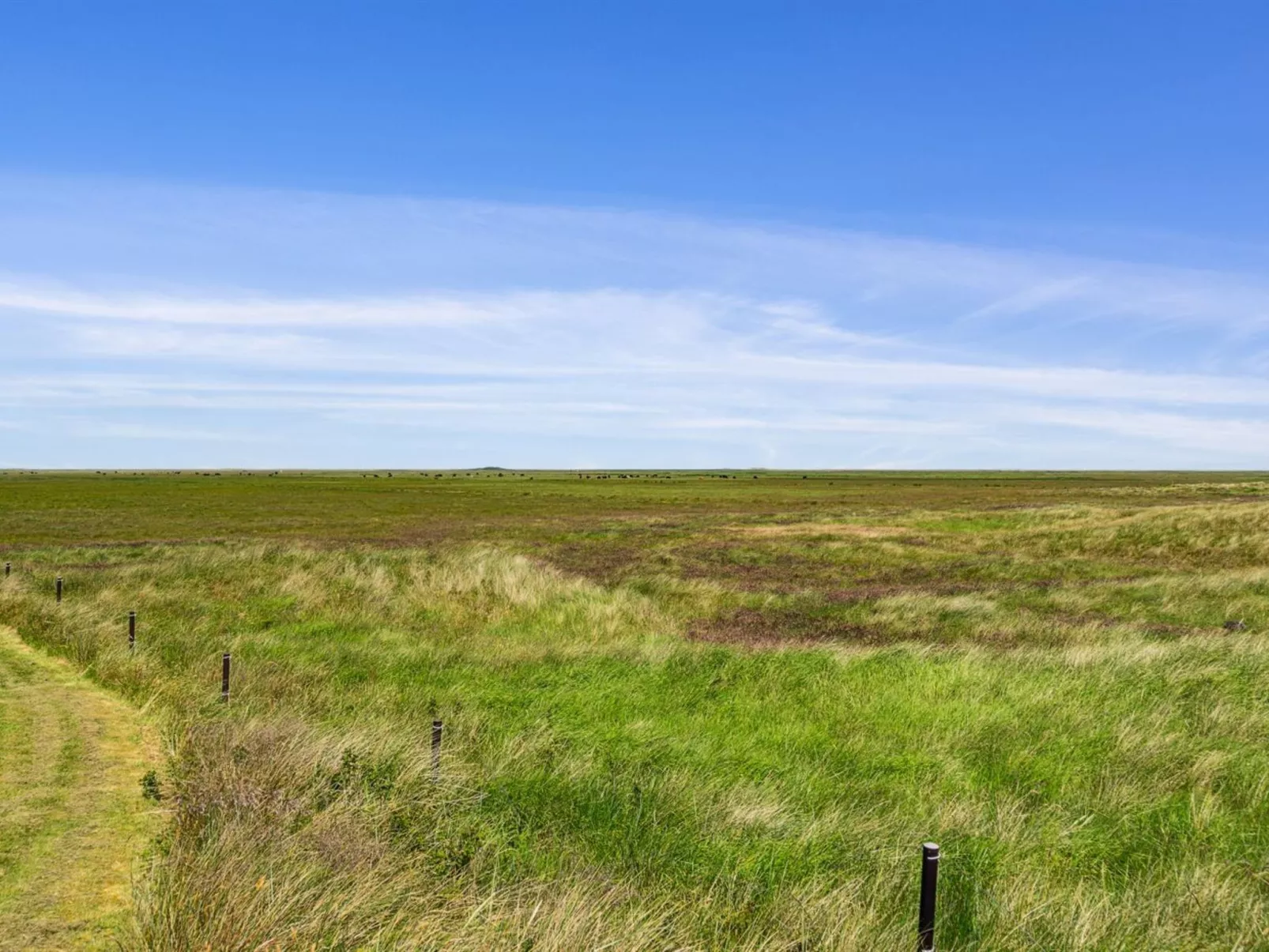 "Hunlef" - 1.7km from the sea-Draußen