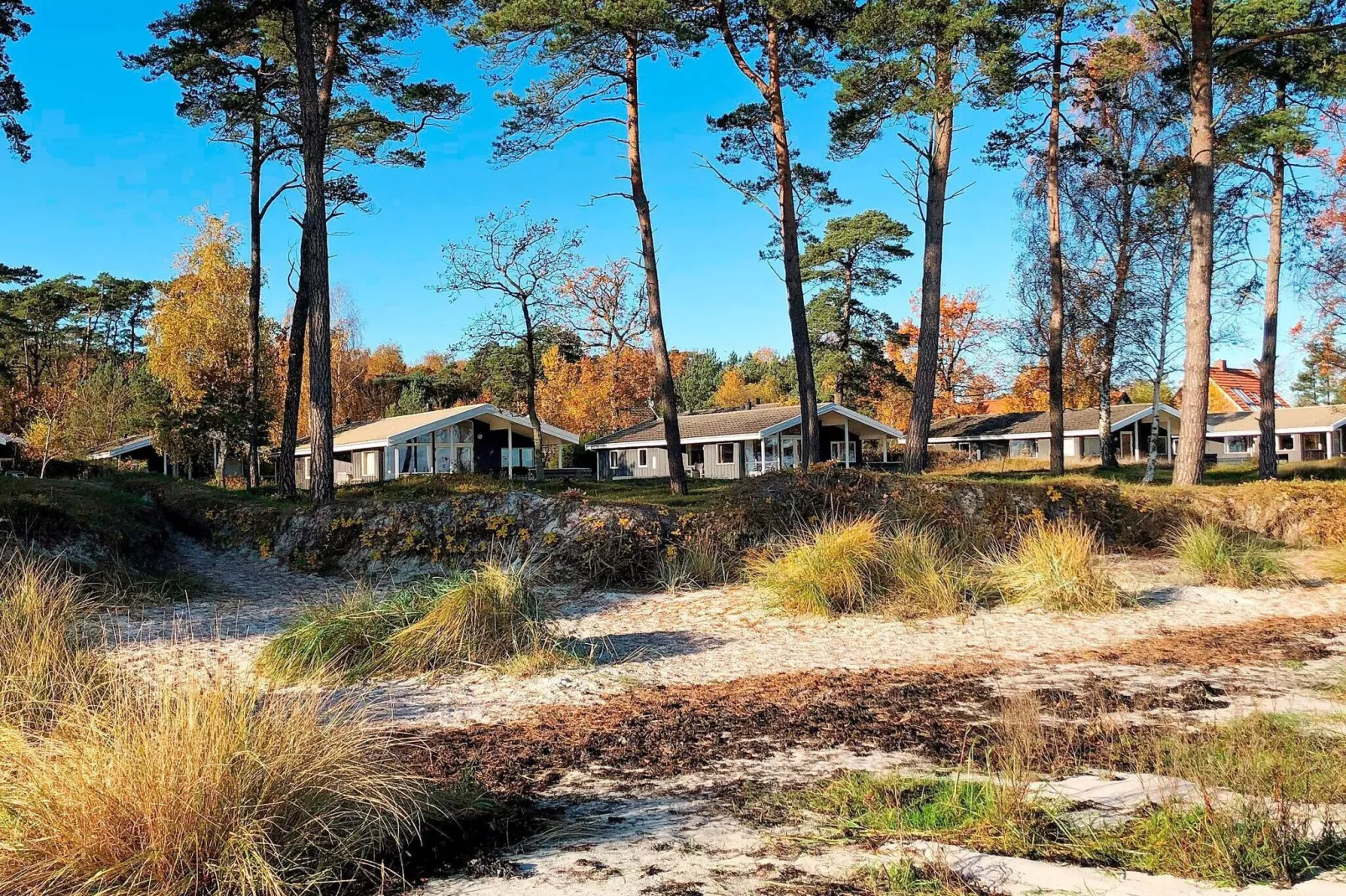 FUGLEKONGEN-Outdoor