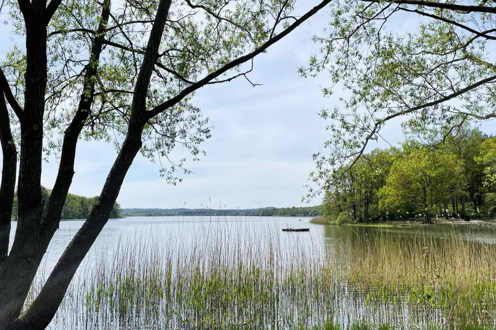 4 person holiday home in LÖVESTAD-Not tagged