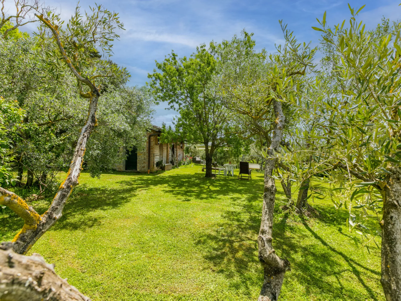 Antico Frantoio-Outside