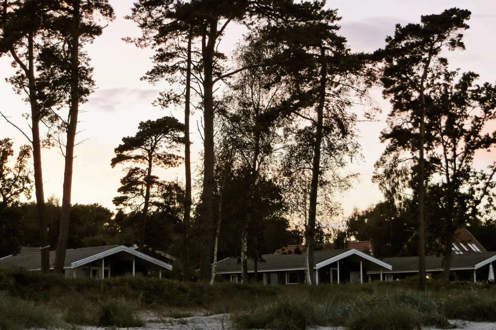 FUGLEKONGEN-Outdoor