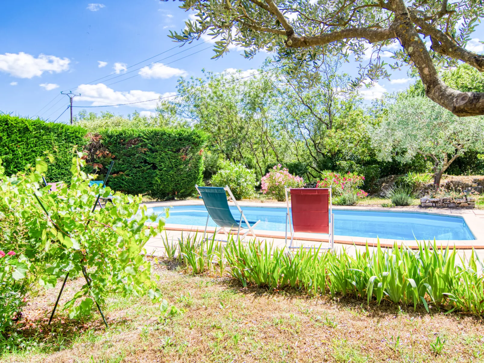 Villa Camilia-Outside