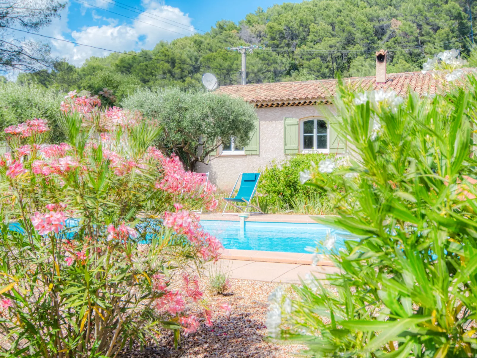 Villa Camilia-Outside