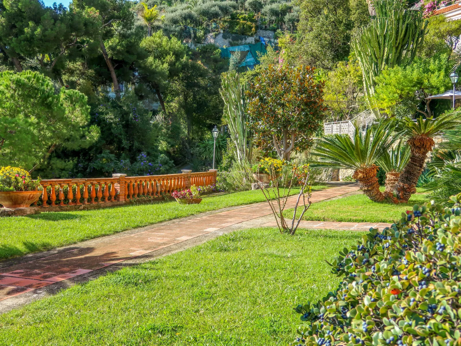 Paradise Corner-Outside