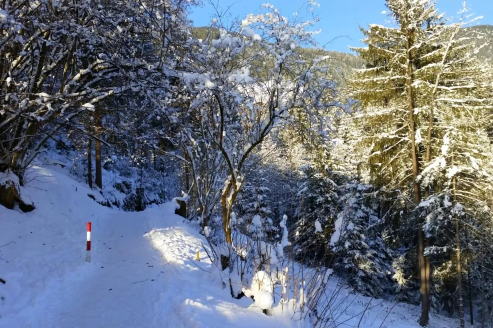 Haus Sonneneck-Gebiet Winter 1 km