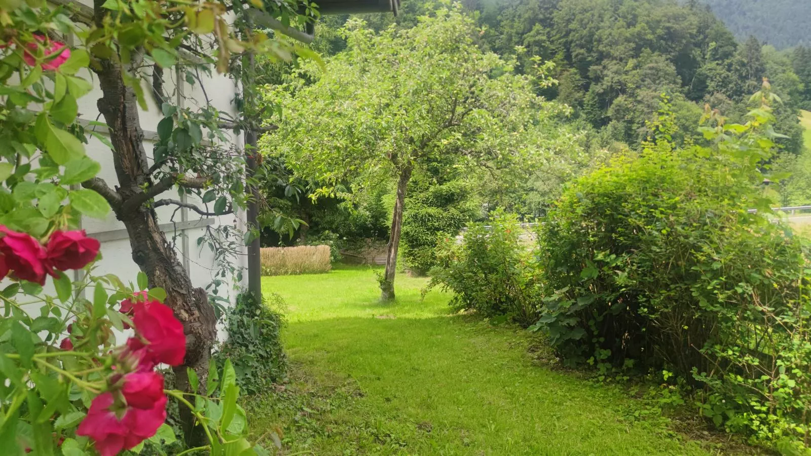 Platzhirsch-Gardens summer