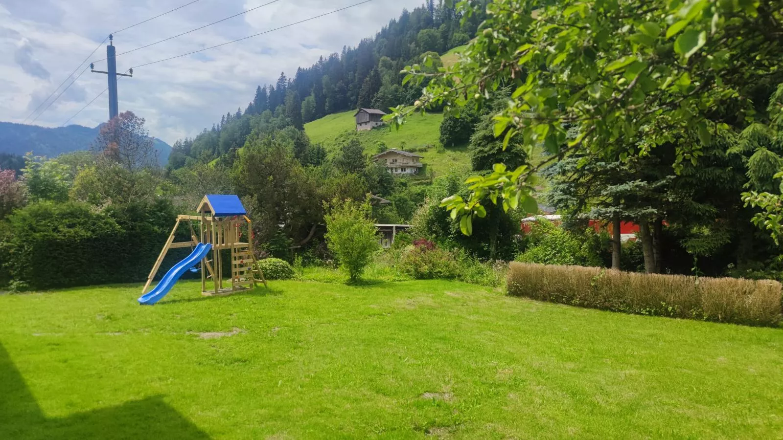 Platzhirsch-Gardens summer