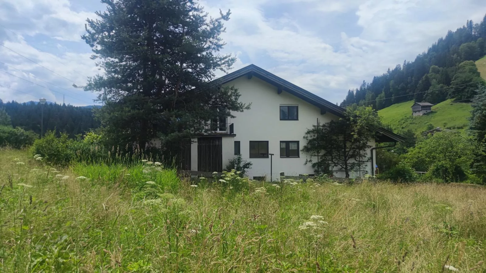 Platzhirsch-Exterior summer