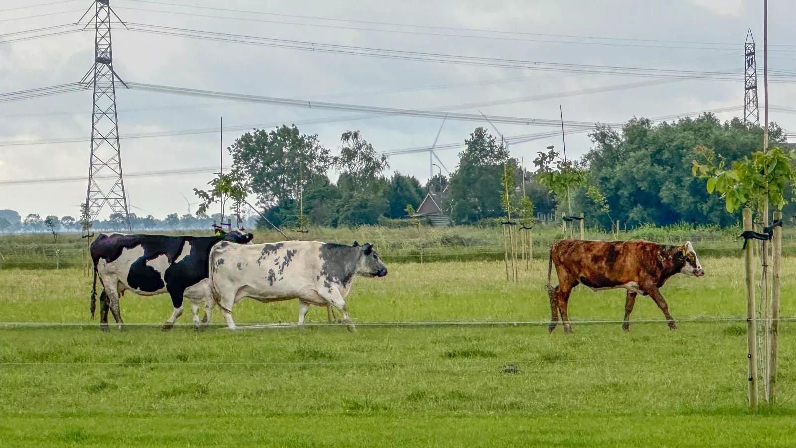Vuur-Areas summer 1km