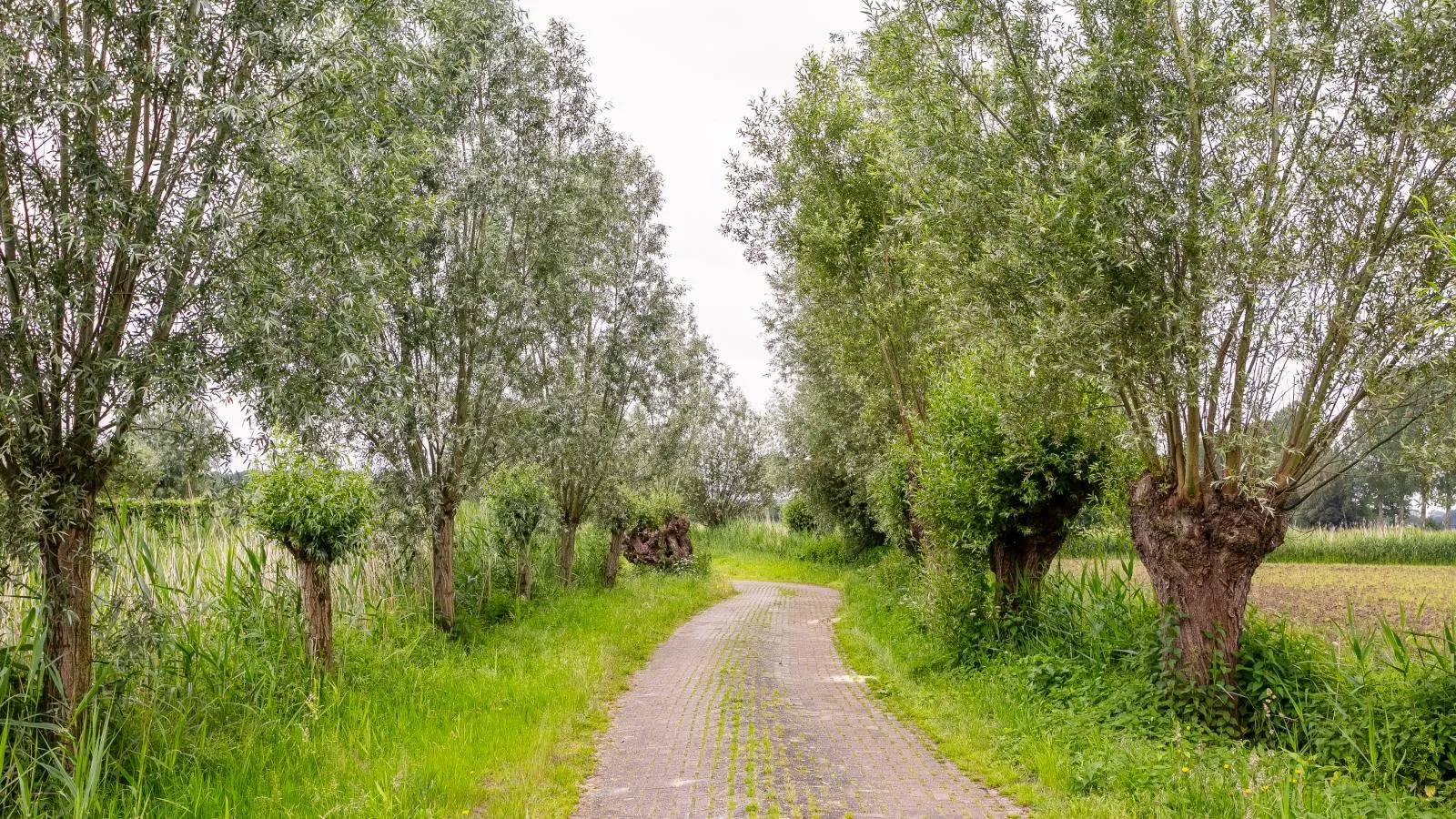 Verzicht-Areas summer 1km