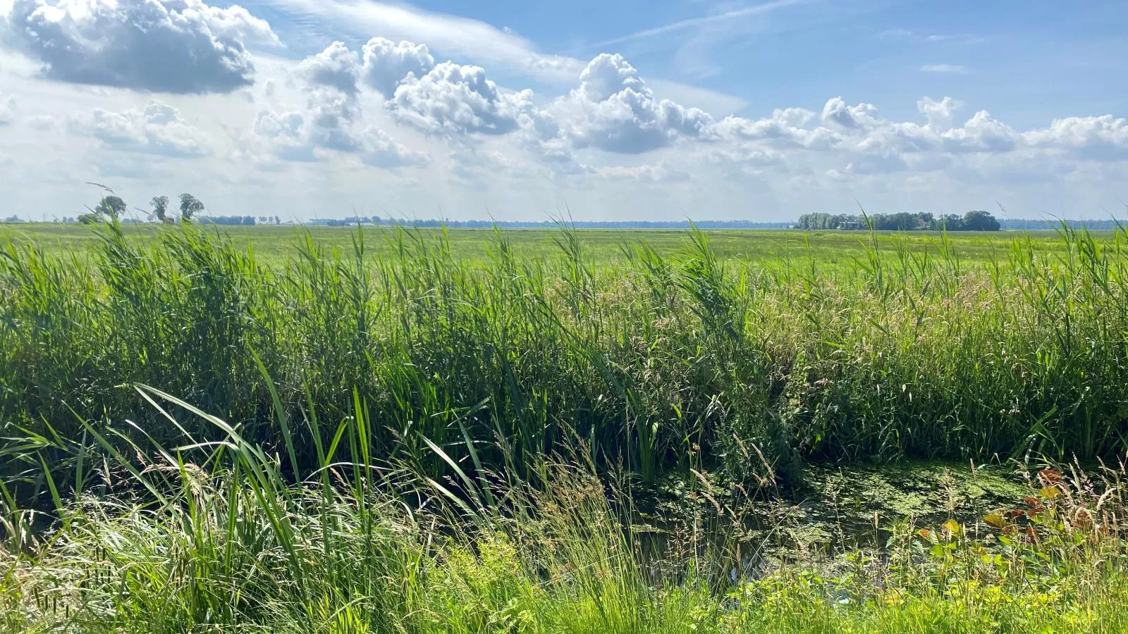 Sluisje 14-Areas summer 5km