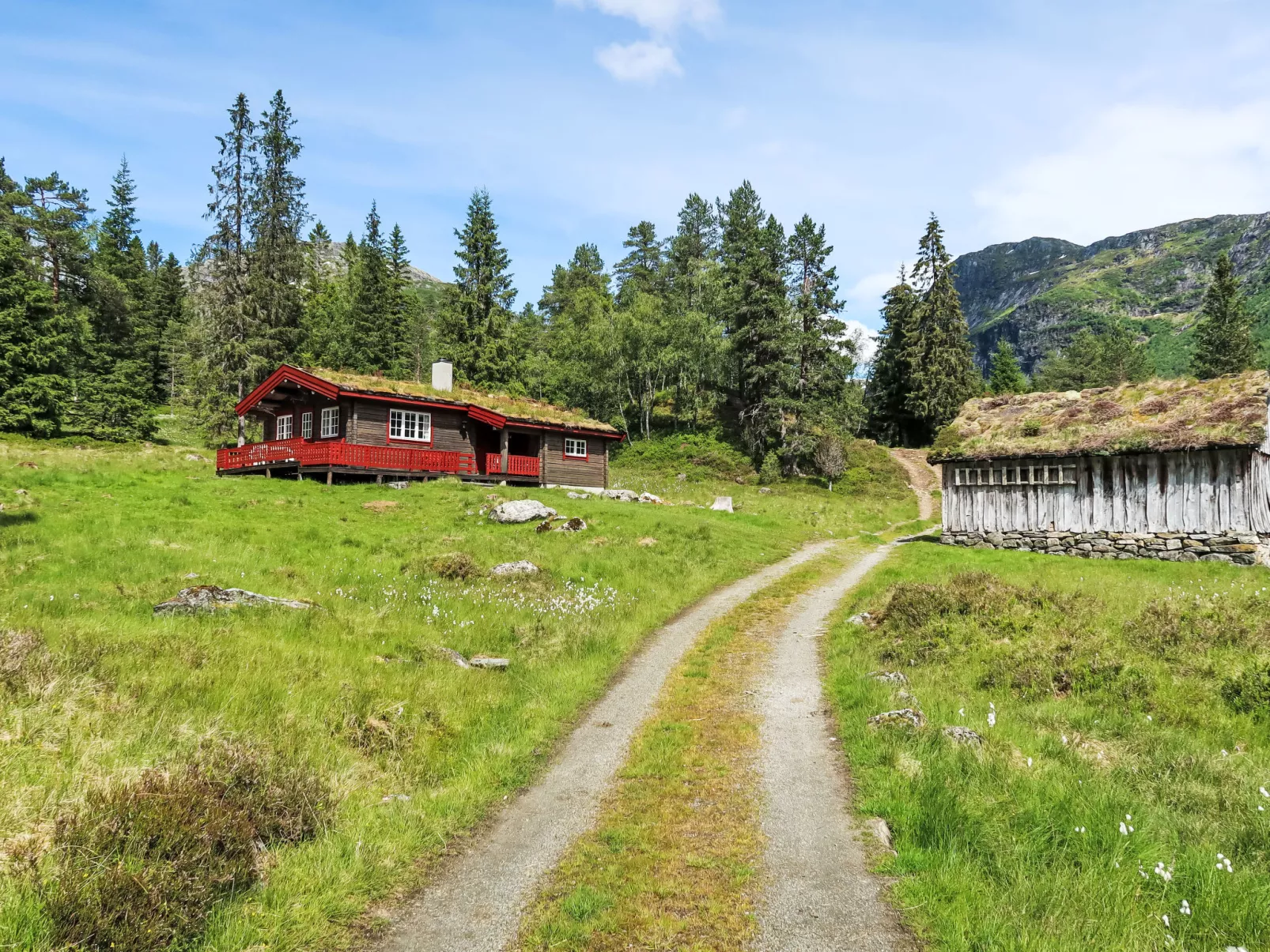 Fjellbris-Draußen