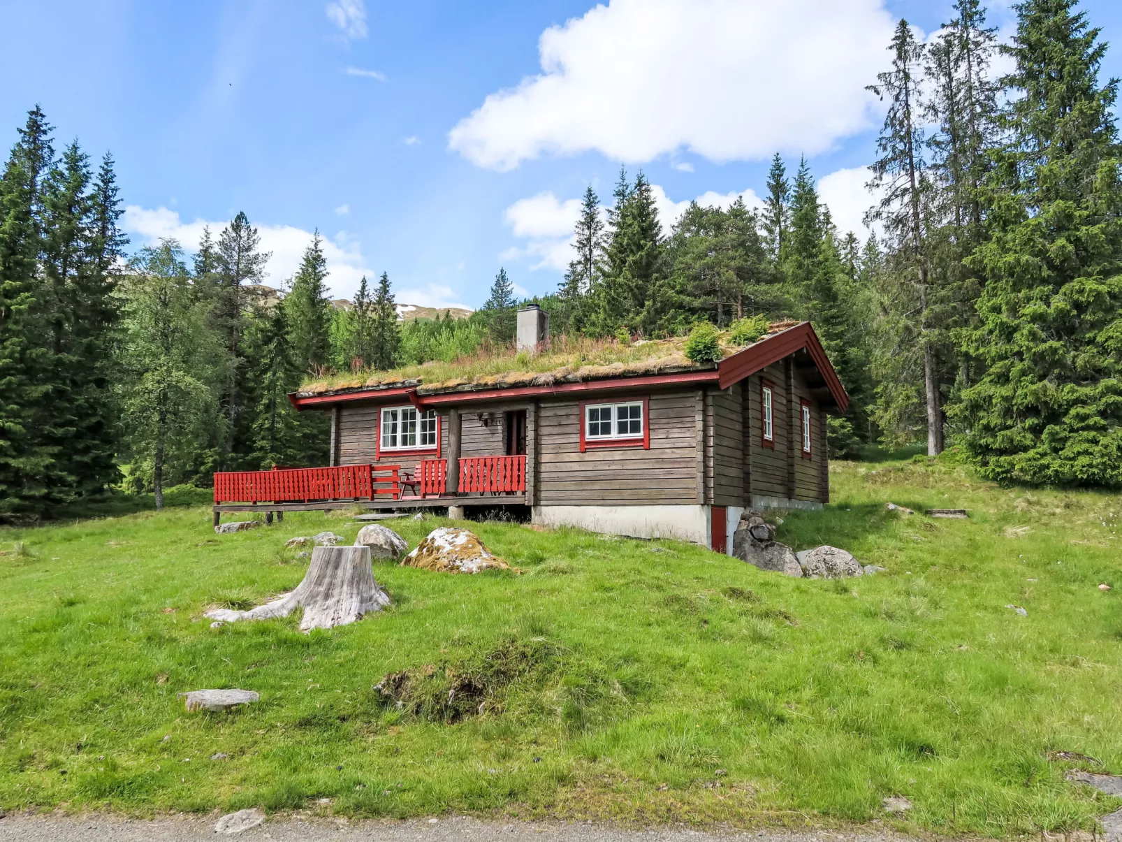 Fjellbris-Draußen