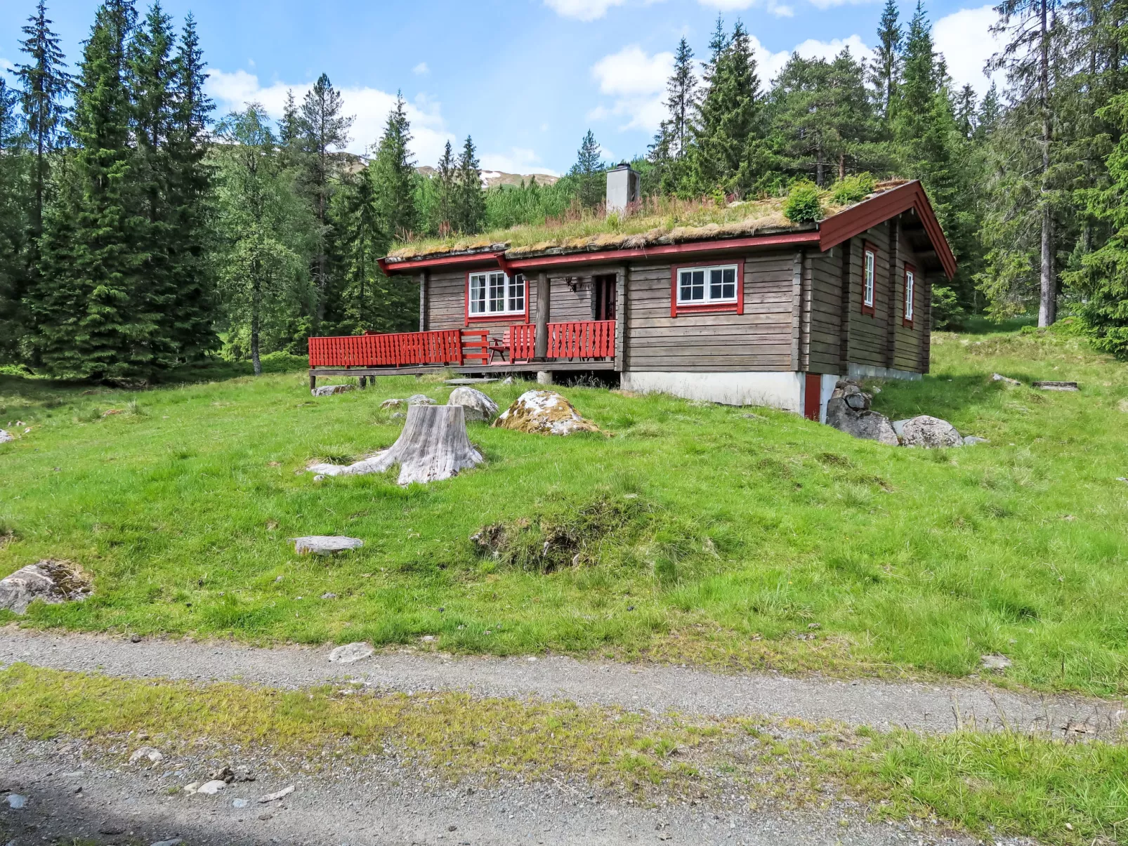 Fjellbris-Draußen