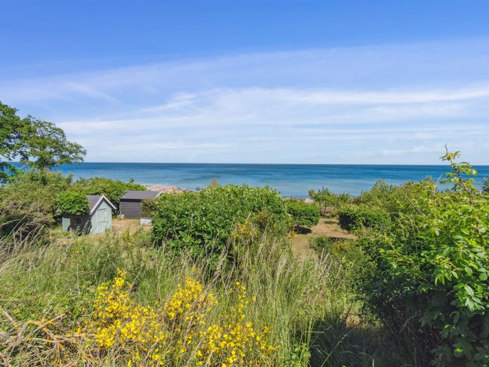 "Throtti" - 50m from the sea-Draußen