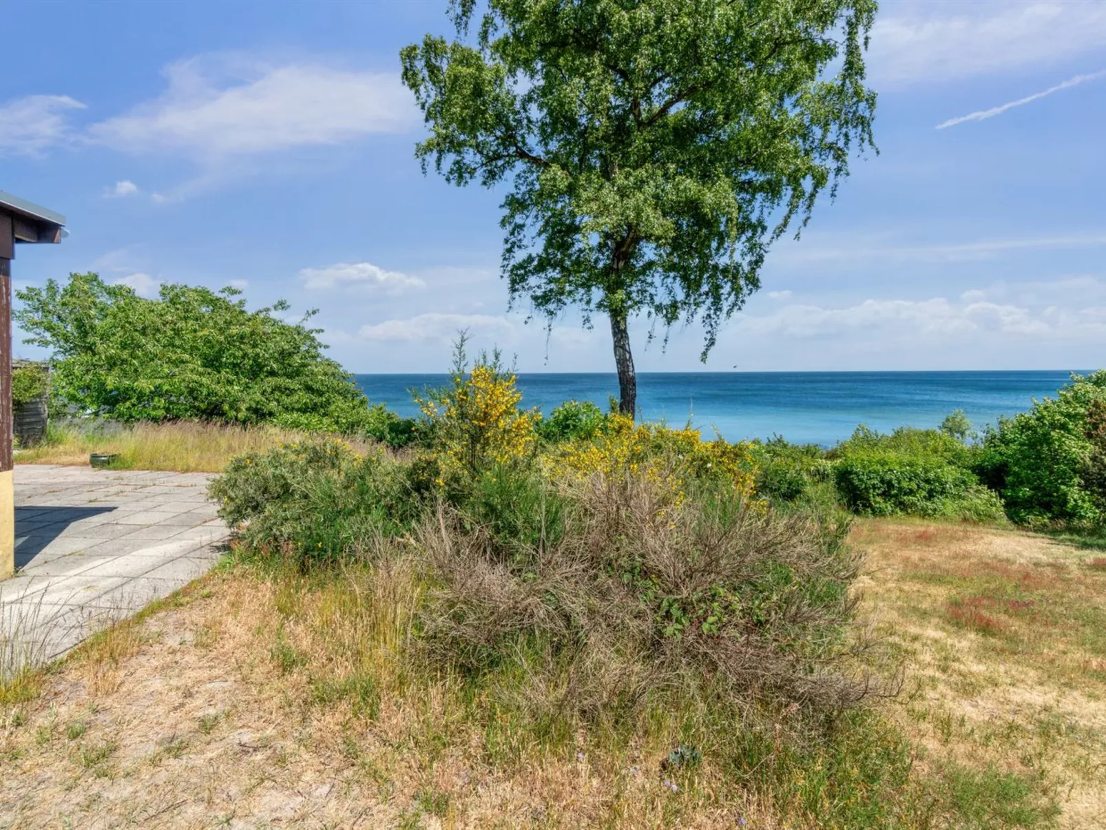 "Throtti" - 50m from the sea-Draußen