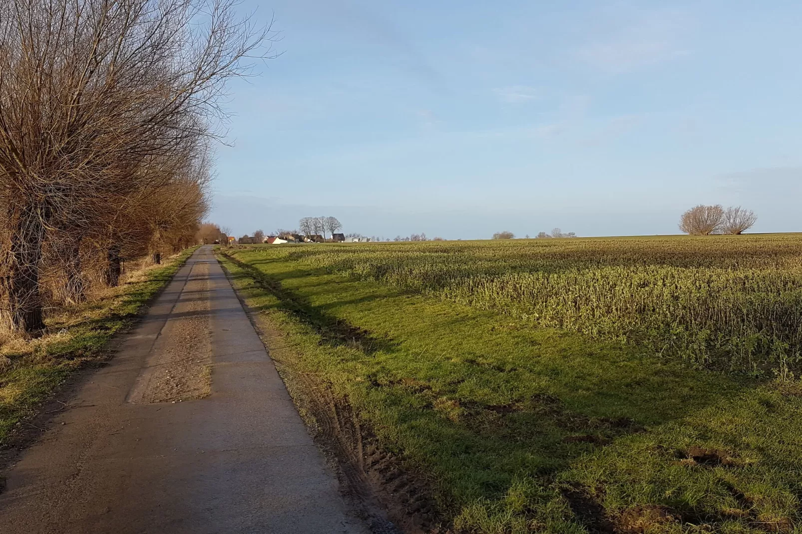 Ferienwohnung Sommerbrise-Areas summer 1km