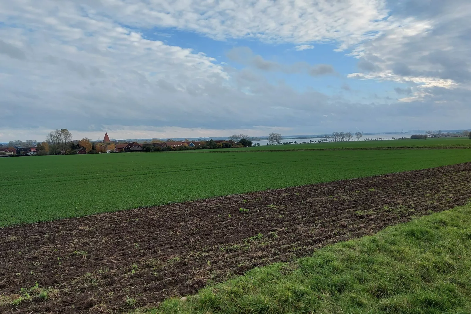 Ferienwohnung Sommerbrise-Areas summer 1km