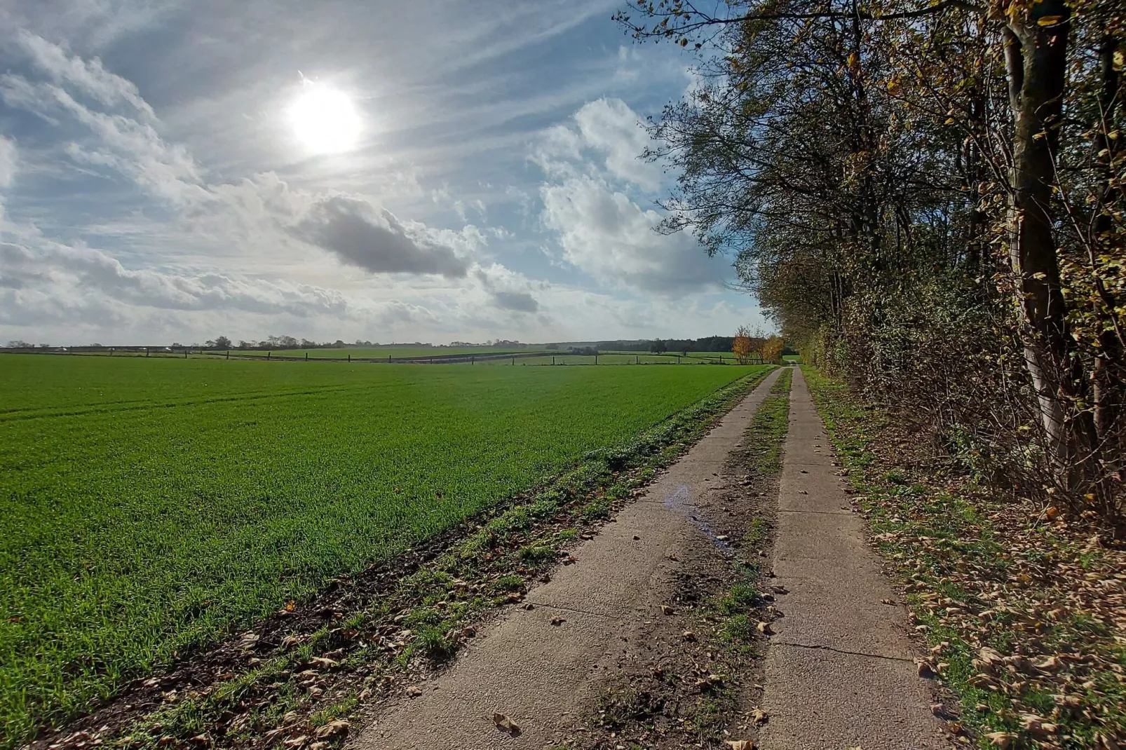 Ferienwohnung Sommerbrise-Areas summer 1km