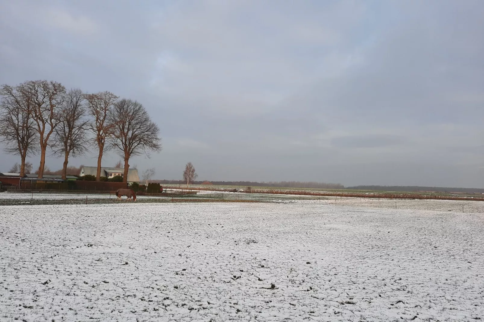 Ferienwohnung Sommerbrise-Area winter 1km